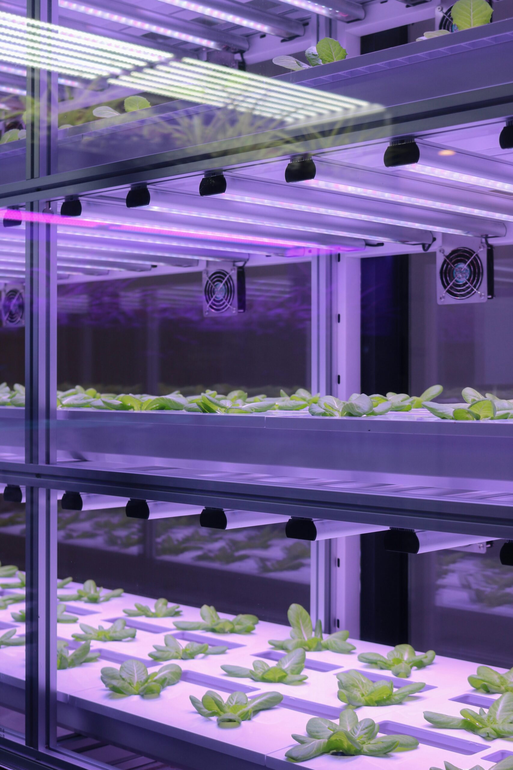 emily kennison nmx2vvhooma unsplash